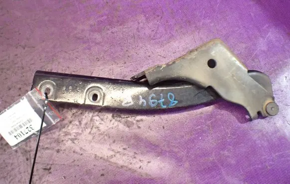 Fiat Punto (199) Engine bonnet/hood hinges A134