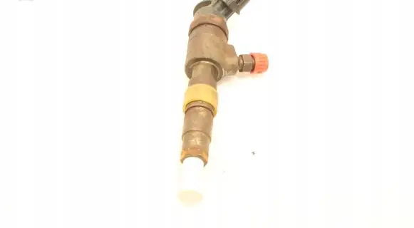 Peugeot Partner Fuel injector