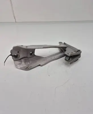 Ford Edge II Engine bonnet/hood hinges FT4BR16800