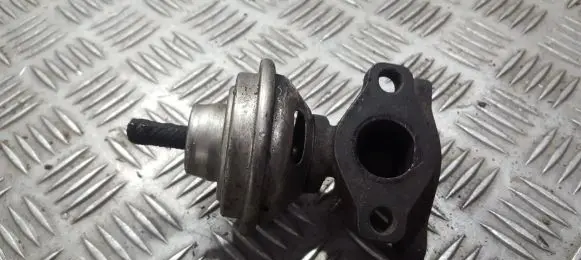 Volkswagen PASSAT B5 EGR valve 028131501E