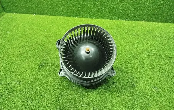 Heater fan/blower