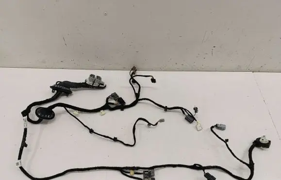 Ford Mustang Mach-E Front door wiring loom PJ8T14631