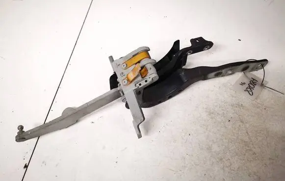 BMW 5 GT F07 Tailgate/trunk/boot hinge 7208839 17120310