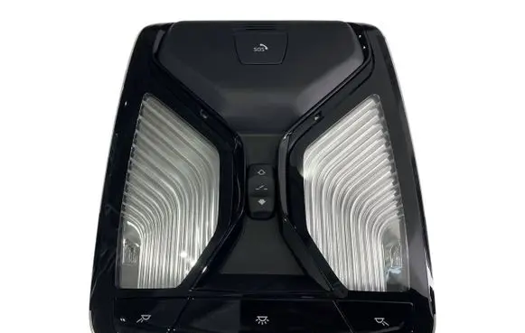 BMW X4 G02 Front seat light 5B32488 61315B32488