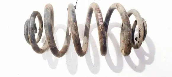 Rear coil spring