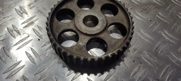 Volkswagen PASSAT B5 Camshaft pulley/ VANOS 069109111