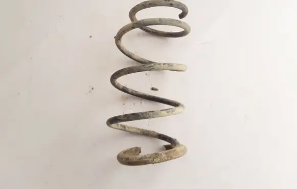 Renault Megane III Front coil spring 540100027R
