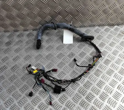 Mercedes-Benz AMG GT R190 C190 Front door wiring loom A1905404301