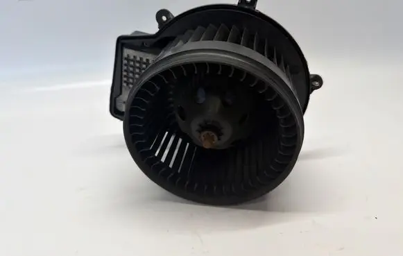 Mercedes-Benz C W203 Heater fan/blower A2038202514