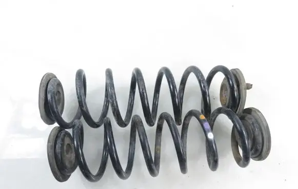 Volkswagen Tiguan Rear coil spring 