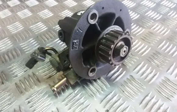 Nissan Primera Power steering pump 146502J601