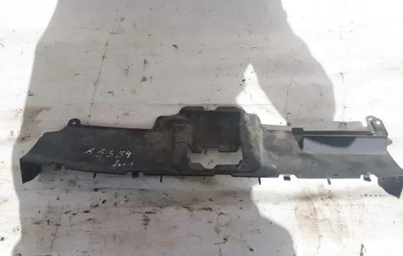 Engine bonnet/hood lock trim molding