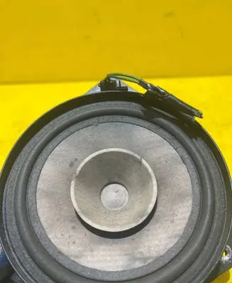 Fiat Punto Evo Rear door speaker 