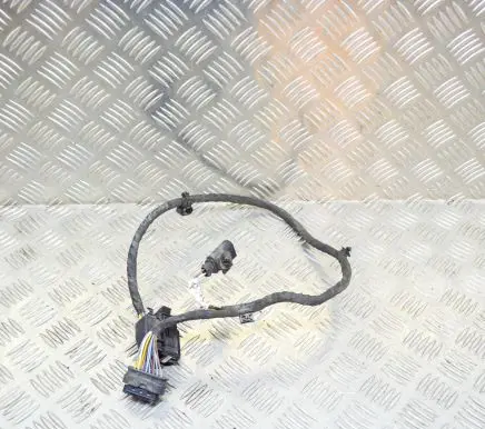 Audi Q5 SQ5 Other wiring loom 8R0971765C