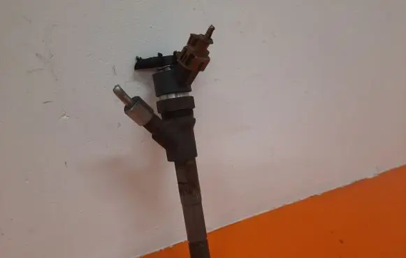 Volkswagen PASSAT B6 Fuel injector