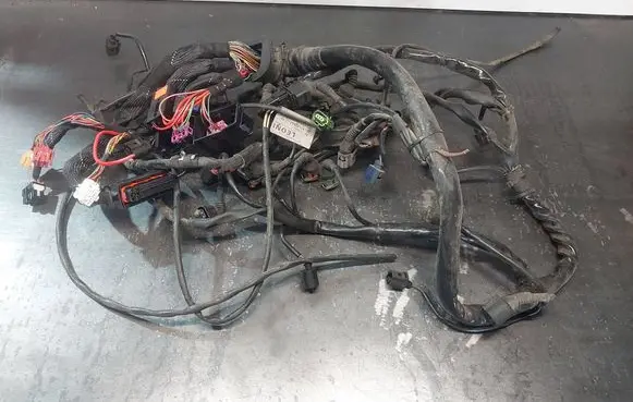 Audi A4 S4 B6 8E 8H Engine installation wiring loom 8E1971072LF
