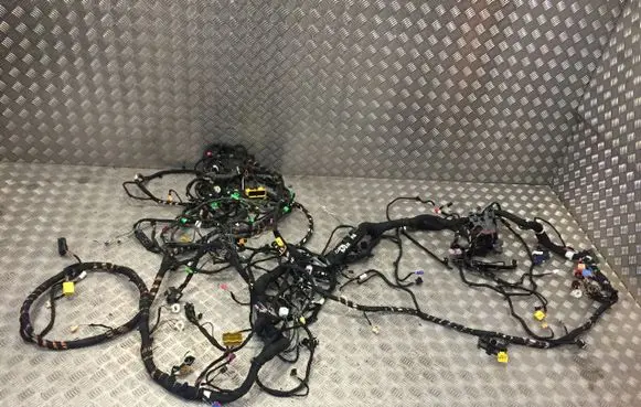 Cupra Born Positive wiring loom 