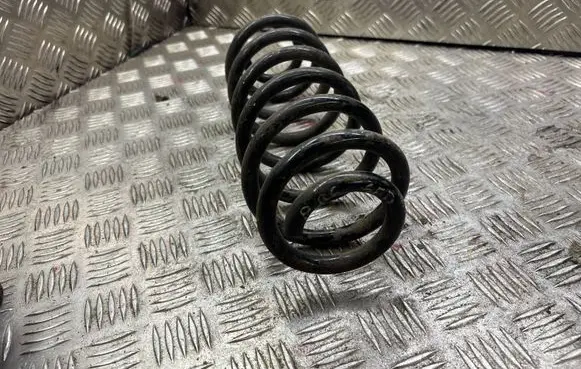 Volkswagen PASSAT B6 Rear coil spring 