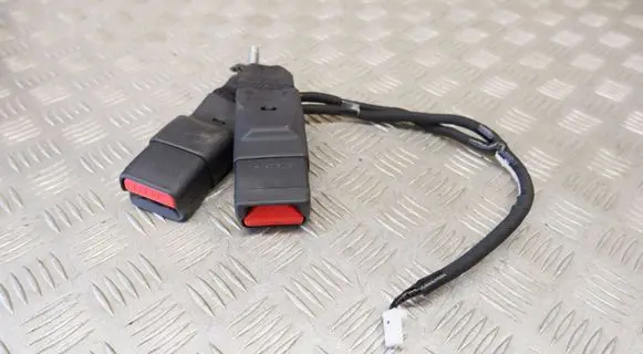 Nissan Leaf II (ZE1) Rear seatbelt buckle 6262419