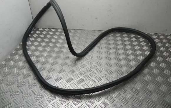 BMW X4 G02 Rubber seal rear door 7416498