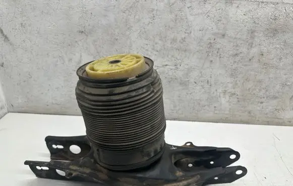 Mercedes-Benz CLS C218 AMG Rear air suspension bag/shock absorber R3086130