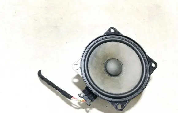 Front door speaker