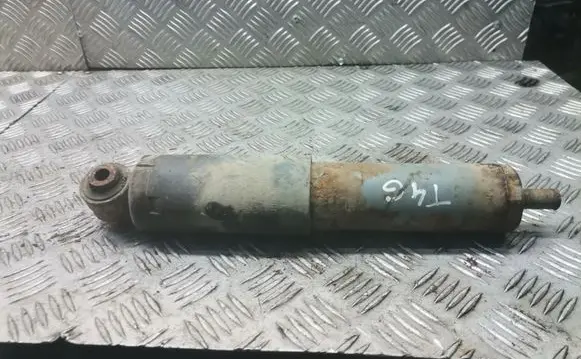 Rear shock absorber/damper