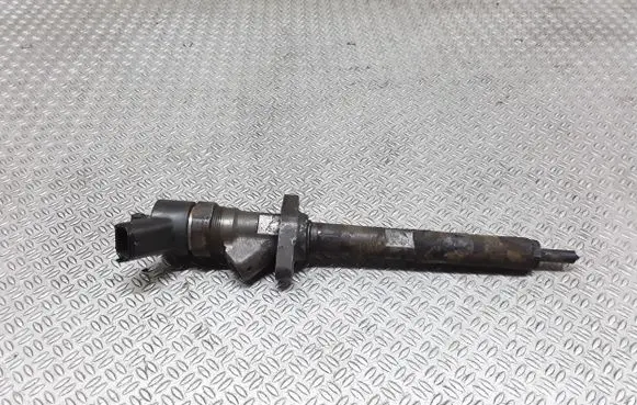 Peugeot 807 Fuel injector 0445110036 9637277980