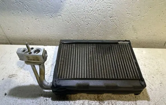 Dodge Charger Air conditioning (A/C) radiator (interior) S1261707 EG067002