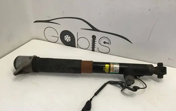 Lexus RX V Rear shock absorber/damper 4853048530 221026B 2132520