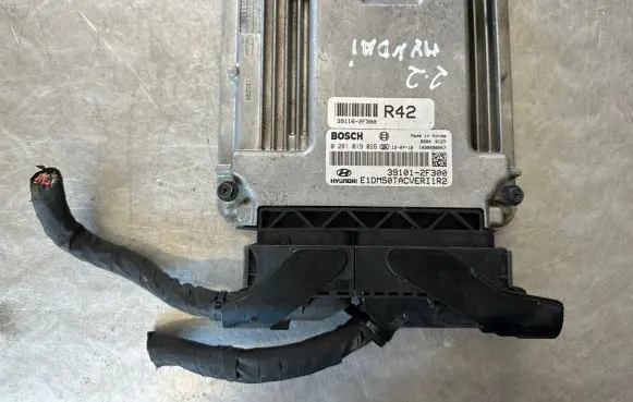 Hyundai Santa Fe Engine control unit/module 391012F300