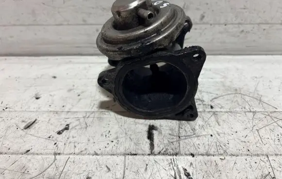 Seat Leon (1P) EGR valve 038131501AF 105413698