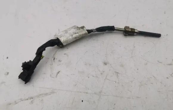 Opel Antara Exhaust gas temperature sensor 1220538002053
