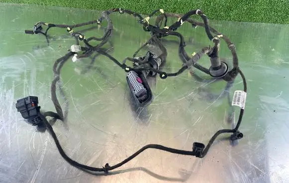 Opel Insignia A Front door wiring loom 39001296