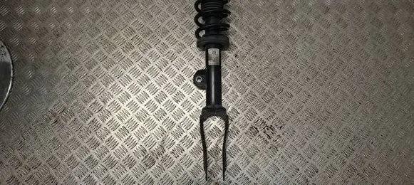 Alfa Romeo Stelvio Front shock absorber/damper 50548583 814904012809