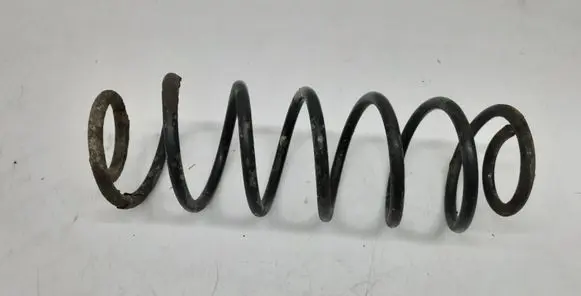 Ford Fiesta Rear coil spring