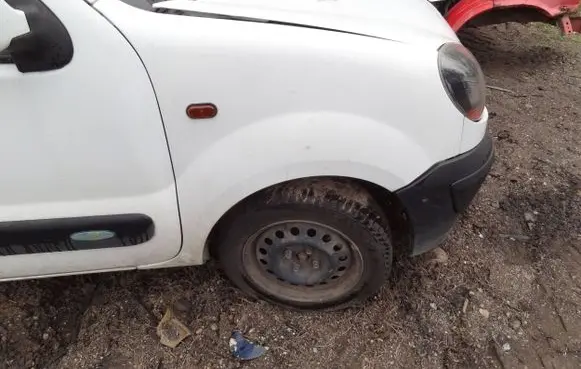 Renault Kangoo I Fender