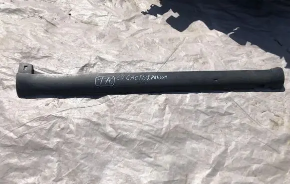 Citroen C4 Cactus Front sill (body part) 9823576977