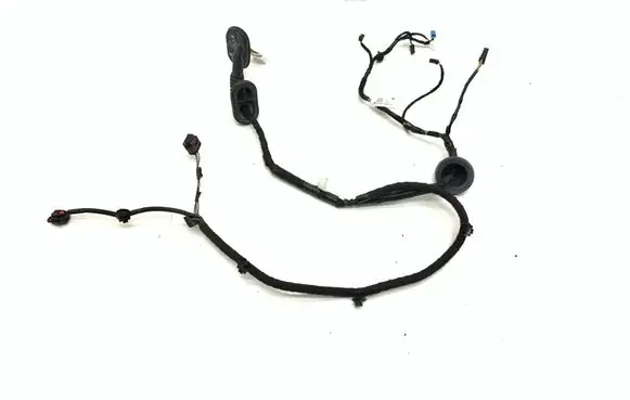 Tesla Model 3 Rear door wiring loom 206796500B