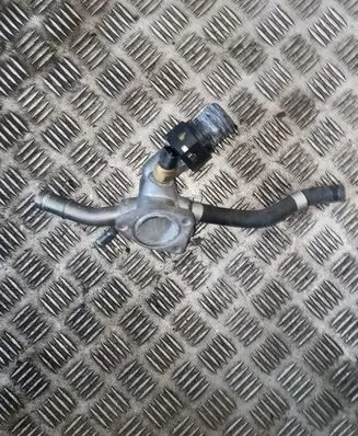 Thermostat/thermostat housing