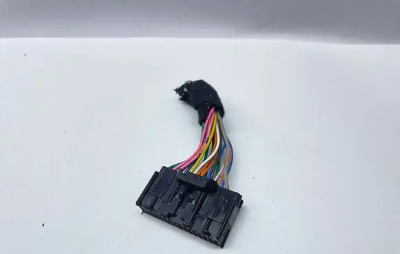 Hyundai Ioniq 5 Other wiring loom