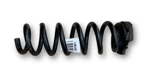 BMW Z4 g29 Rear coil spring 33536890597 6890597