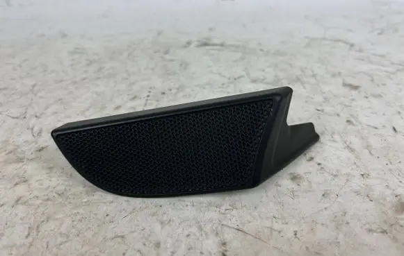 Other front door trim element
