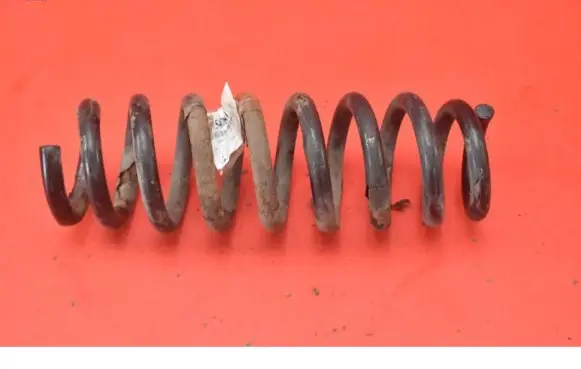 Rear coil spring