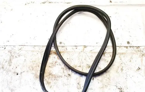 KIA EV6 Rubber seal rear door 