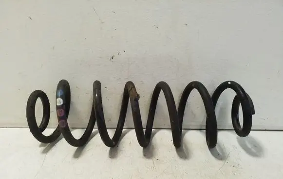 Rear coil spring