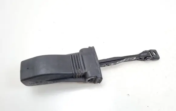 Audi e-tron Rear door check strap stopper 4KE839249