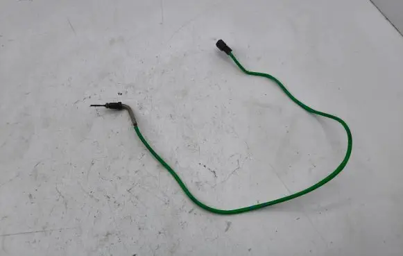 Exhaust gas temperature sensor