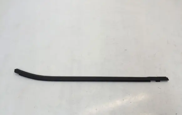 Nissan Juke II F16 Rear door glass trim molding