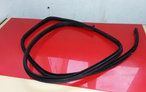 Nissan Qashqai Rear door rubber seal (on body) NOCODE
